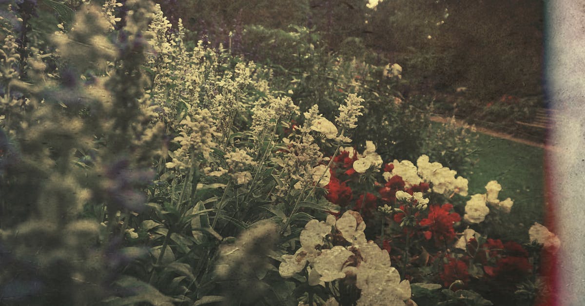 Creating Harmony with Asymmetrical Design in Garden Landscapes