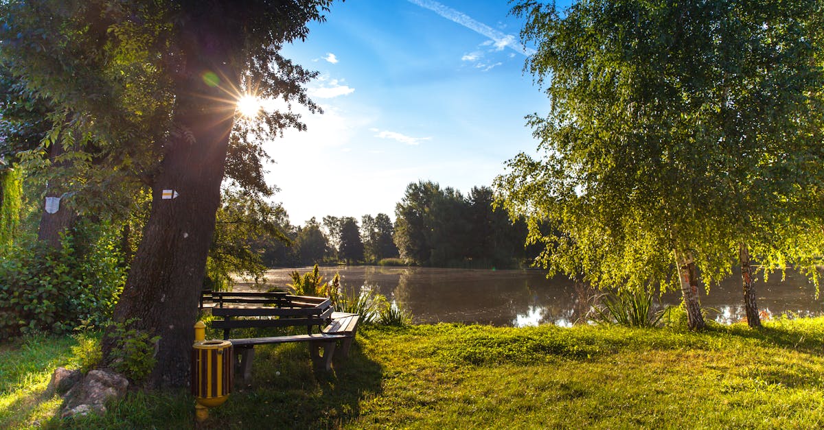 Designing Focal Points for Different Garden Styles