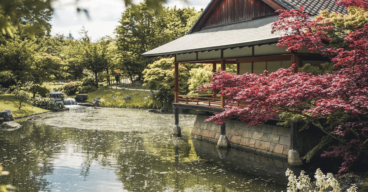 Designing with Proportion and Scale: Creating Unity in Garden Landscapes