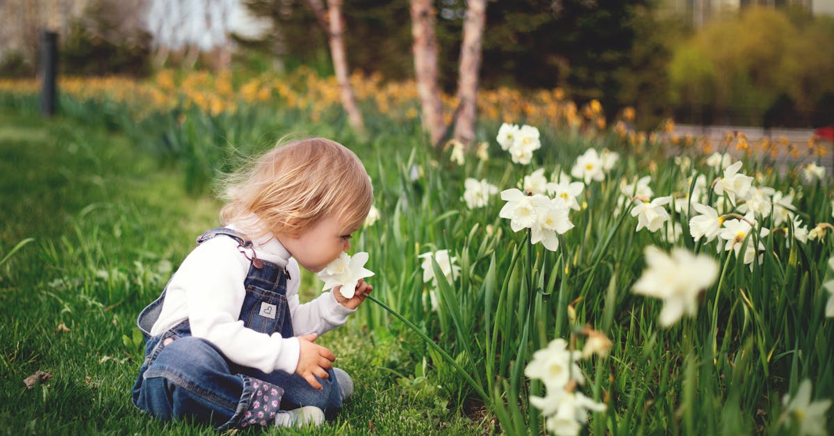 Exploring Colour Schemes for Harmonious Landscapes