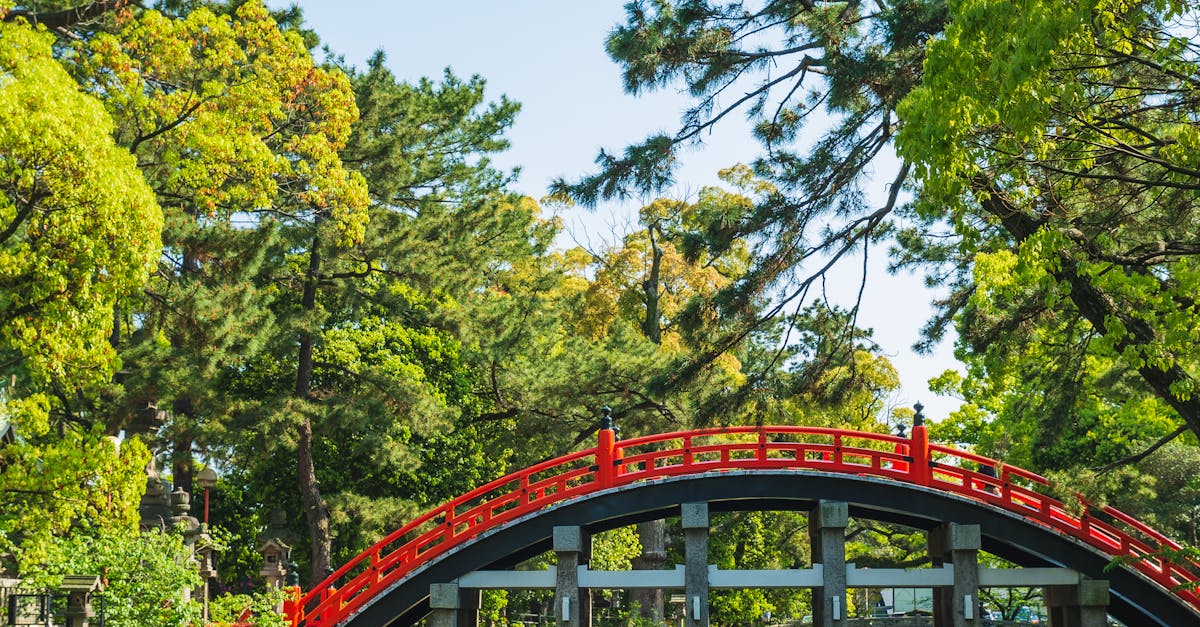 Exploring the Impact of Radial Balance on Garden Visuals