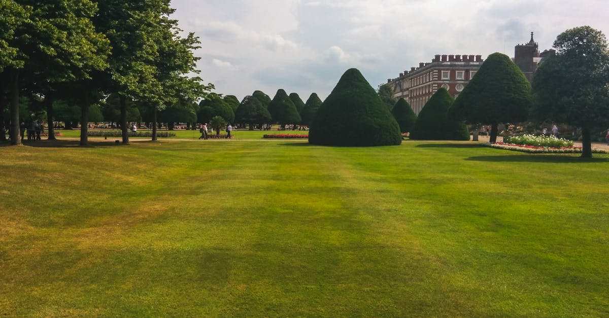 Implementing Symmetry for Visual Harmony in Landscaping