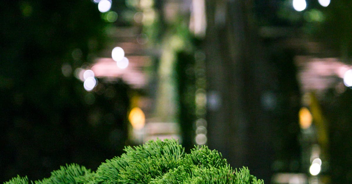 Importance of Proportion and Scale in Landscape Gardening