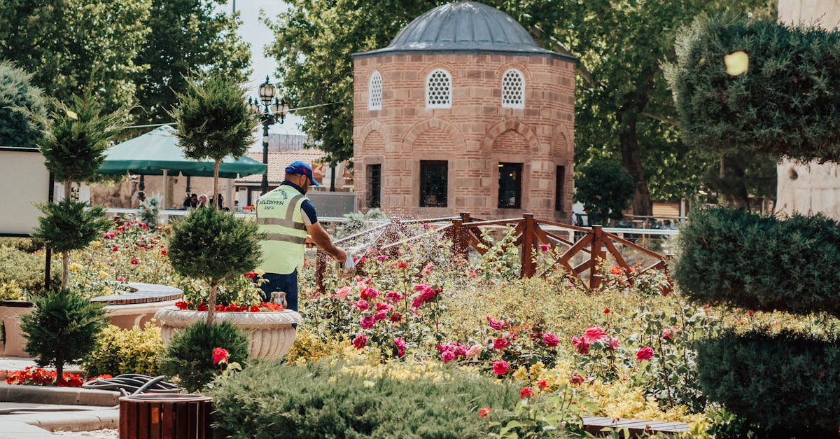 Importance of Smooth Transitions in Landscape Gardening