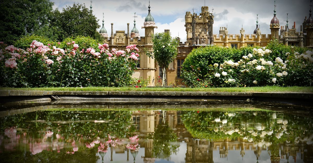 Plant Selection for Informal Balance in Landscape Gardening