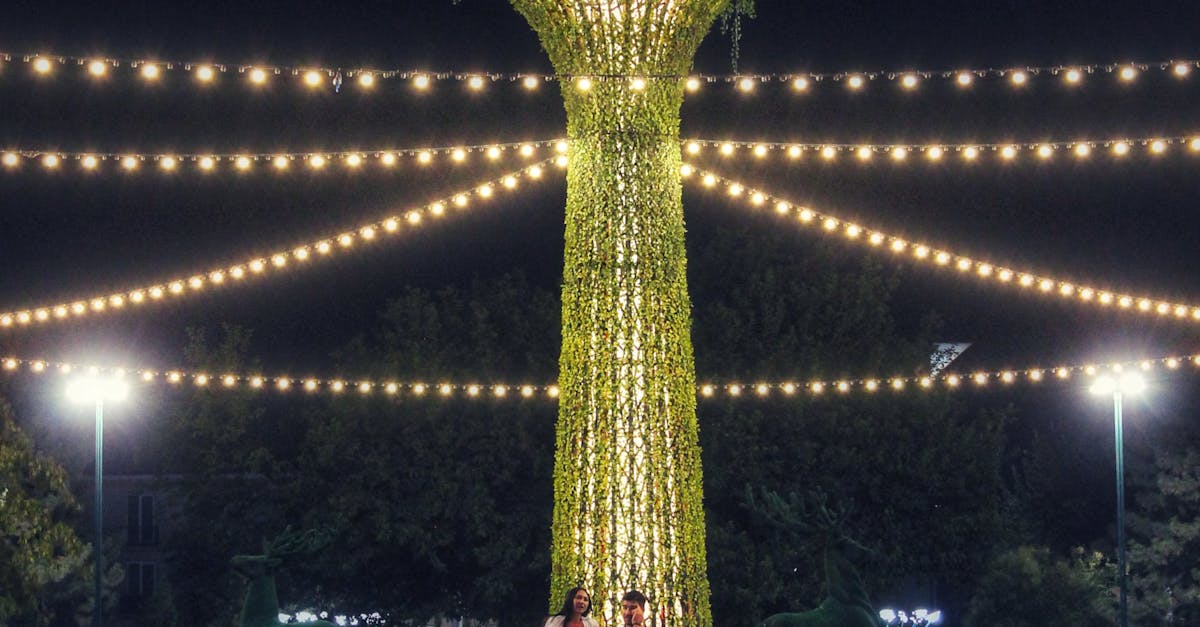 Principles of Asymmetrical Design in Landscape Gardening