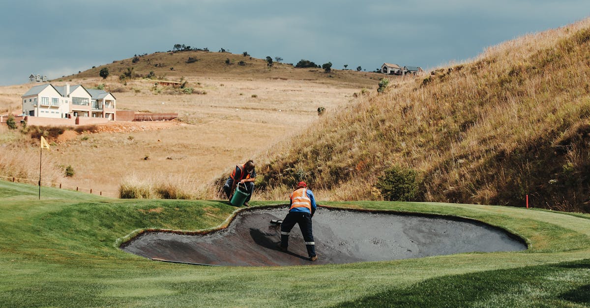 Simplicity and Elegance in Garden Design