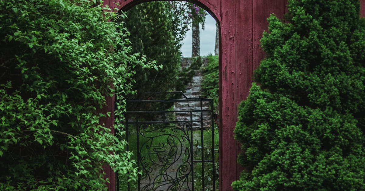 Understanding Informal Balance in Landscape Gardening