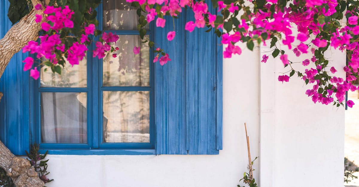 Using Contrast to Emphasize in Landscape Gardening